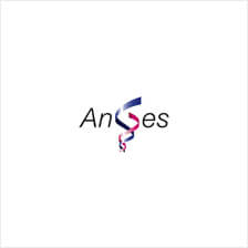 Anses